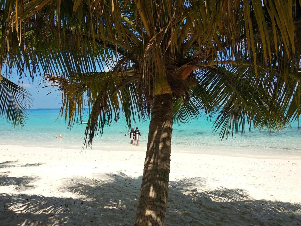 Dhigurah Beach Inn Exteriér fotografie